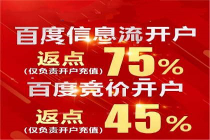 百度竞价代运营实战案例分析